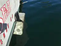 Trawler na sprzedaż