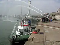 Holownik na sprzedaż