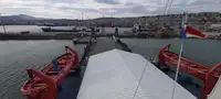 Statek transportowy ładunków sypkich na sprzedaż
