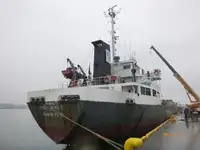 Statek transportowy ładunków sypkich na sprzedaż