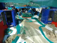 Trawler na sprzedaż