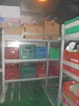 Statek chłodniczy na sprzedaż