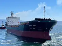Statek transportowy ładunków sypkich na sprzedaż
