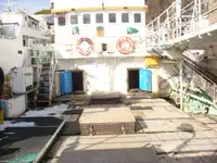 Longliner na sprzedaż