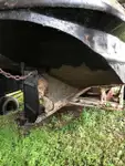 Holownik na sprzedaż