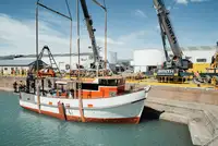 Trawler na sprzedaż