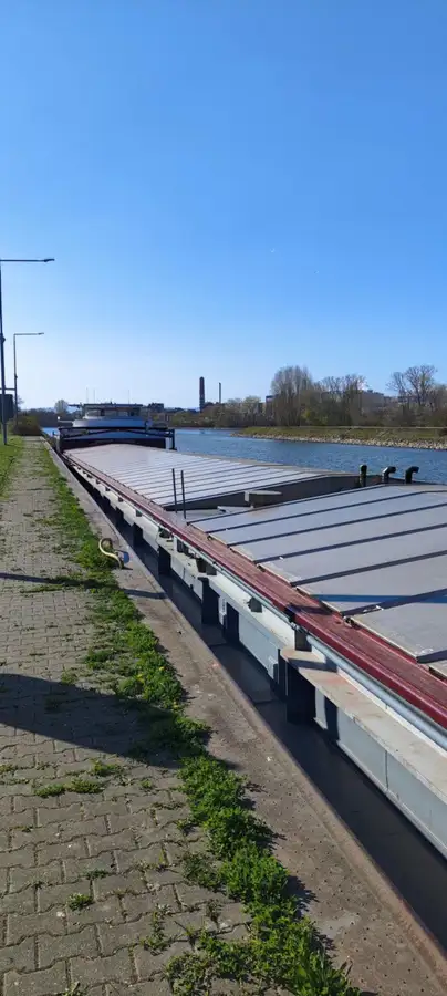 Statek transportowy ładunków sypkich na sprzedaż