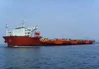 Statek transportowy ładunków sypkich na sprzedaż