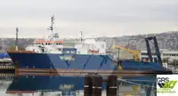 Wsparcie nurkowe na sprzedaż