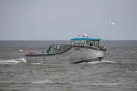 Statek pasażerski na sprzedaż