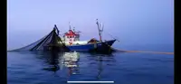 Trawler na sprzedaż