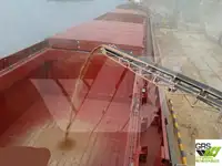 Statek transportowy ładunków sypkich na sprzedaż