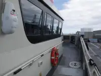 Katamaran na sprzedaż