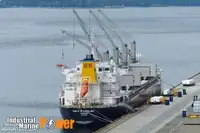 Statek transportowy ładunków sypkich na sprzedaż