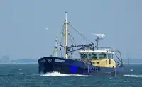 Trawler denny na sprzedaż
