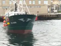Trawler na sprzedaż