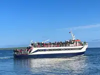 Statek pasażerski na sprzedaż
