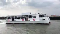Katamaran na sprzedaż