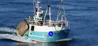 Beam trawler na sprzedaż