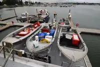 Trawler na sprzedaż