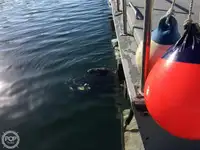 Trawler na sprzedaż