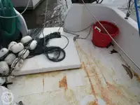 Trawler na sprzedaż