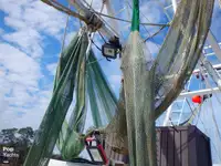 Trawler na sprzedaż
