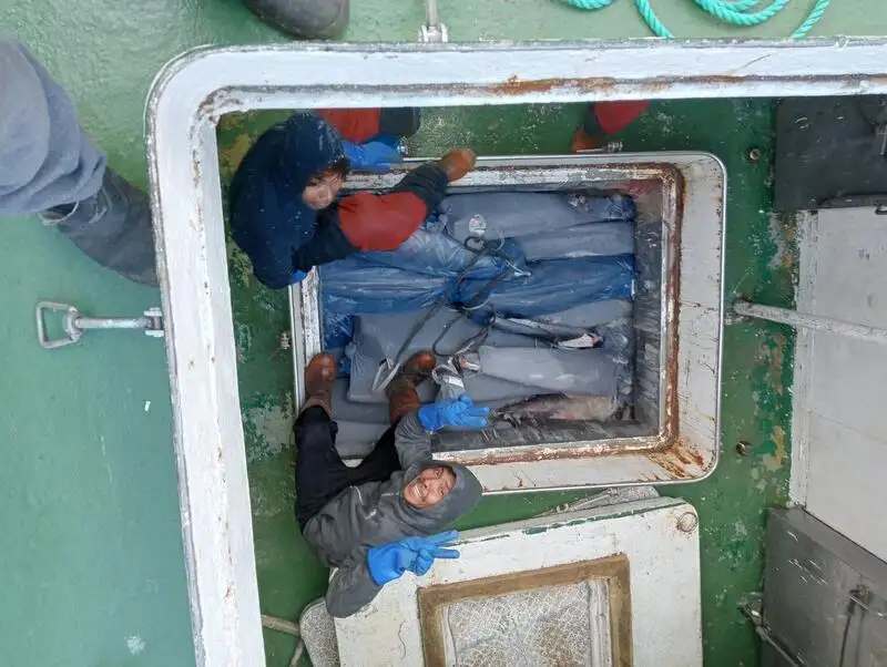 Trawler na sprzedaż