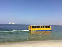 Ziemnowodny na sprzedaż