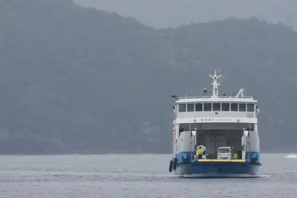 Statek RORO na sprzedaż