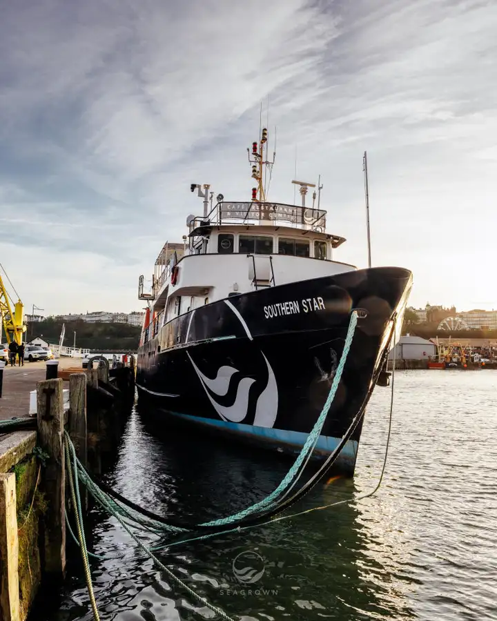 Statek badawczy na sprzedaż