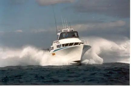 Łodzie robocze na sprzedaż