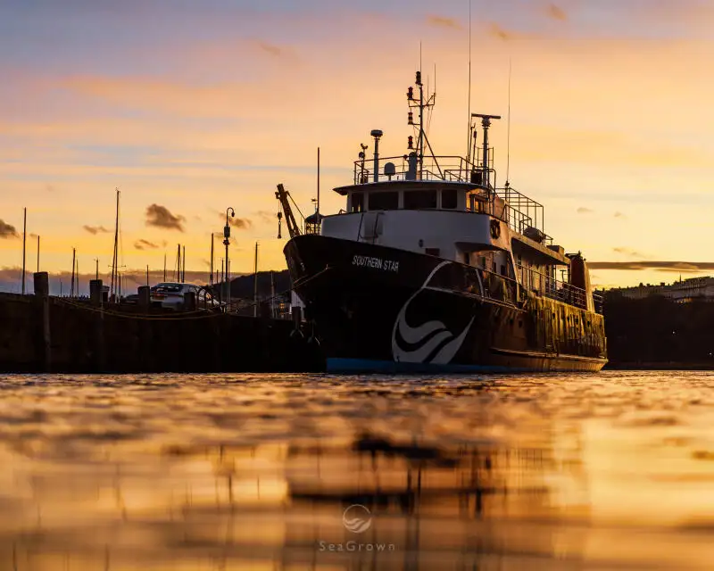 Statek badawczy na sprzedaż