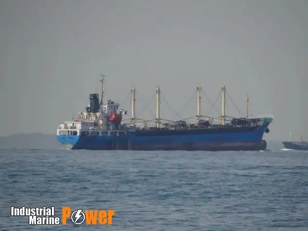 Masowiec na sprzedaż