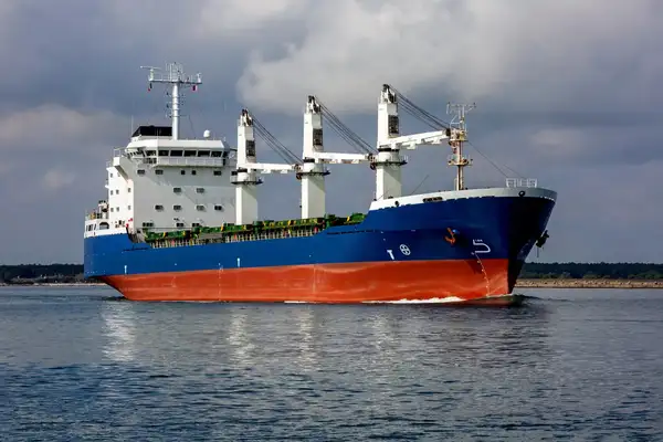 Bulk carrier for sale