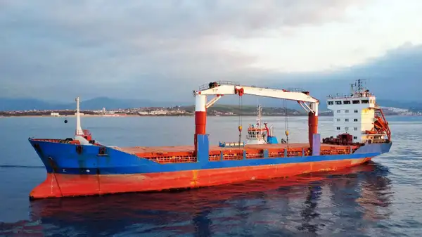 Reefer ship for sale