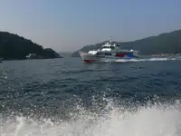 Statek promowy na sprzedaż