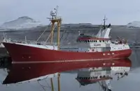 Masowiec na sprzedaż