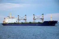 Masowiec na sprzedaż