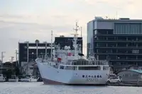 Trawler rybacki na sprzedaż