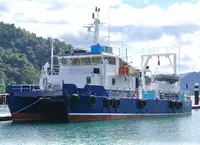 Katamaran na sprzedaż