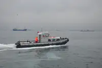 Łódź holownicza na sprzedaż