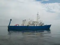 Różnego przeznaczenia na sprzedaż