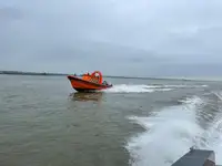 Sztywna ponton na sprzedaż