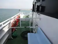 Katamaran na sprzedaż