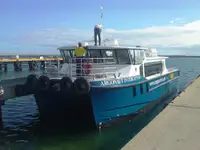 Katamaran na sprzedaż