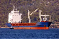 Masowiec na sprzedaż