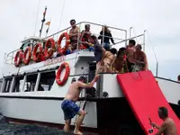 Wsparcie nurkowe na sprzedaż
