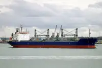 Masowiec na sprzedaż