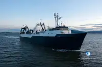 Trawler rybacki na sprzedaż